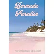 Bermuda Paradise： Pages for Planning a Fun Cruise