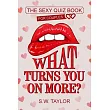 What Turns You On More?： The Sexy Quiz Book for Couples