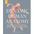 Dynamic Human Anatomy： An Artist’’s Guide to Structure， Gesture， and the Figure in Motion