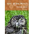 Bird Is The Word ─ Twitter Haiku