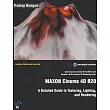 MAXON Cinema 4D R20： A Detailed Guide to Texturing， Lighting， and Rendering