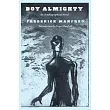 Boy Almighty： An Autobiographical Novel