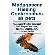 Madagascar hissing cockroaches as pets. Madagascar hissing cockroach book for pros and cons， housing， keeping， diet， care and health.