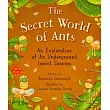 The Secret World of Ants： An Explanation of an Underground Insect Species