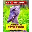 The Shoebill： At high risk of extinction in the wild