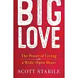 Big Love： The Power of Living with a Wide─Open Heart