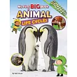 My First Big Book of Animal Life Cycles