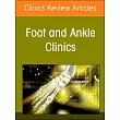 Pathology of the Lesser Toes, an Issue of Foot and Ankle Clinics of North America: Volume 29-4