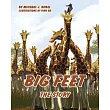 Big Feet： The Story