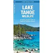 Lake Tahoe Wildlife
