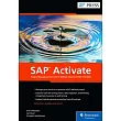 SAP Activate： Project Management for SAP S/4hana Cloud and SAP S/4hana