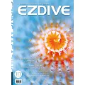 EZDIVE雙語潛水雜誌 2024/12/1第111期 (電子雜誌)