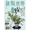 盆栽世界 7月號/2025