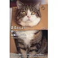貓咪MARU明信片收藏手冊：まるさんより癒しのお届け物です。