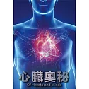 心臟奧秘 DVD