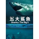 五大鯊魚 (DVD)