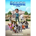 小麻煩當家 DVD