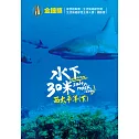 水下30米-西太平洋 (下) 2DVD