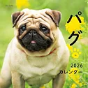 巴哥犬2026年掛曆