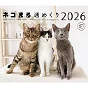 NEKO MARU可愛貓咪2026年週曆