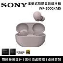 【註冊送100】SONY 索尼 WF-1000XM5 主動式降噪 真無線入耳式耳機 台灣公司貨 玫瑰灰