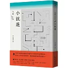 年度小說精選