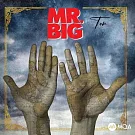 Mr. Big / Ten (進口版LP黑膠唱片)