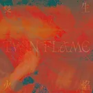 Penny 戴佩妮 /《雙生火焰 TWIN FLAME (2LP)》