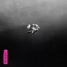 Little Simz / Lotus (進口版LP黑膠唱片)