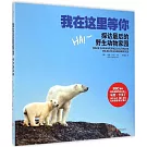 我在這里等你：探訪最後的野生動物家園