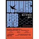 地下世界的蜂鳥