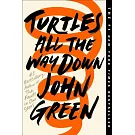 Turtles All the Way Down