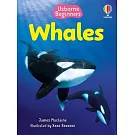 Beginners Whales