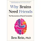 Why Brains Need Friends: The Neuroscience of Social Connection