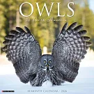 Owls 2026 Wall Calendar