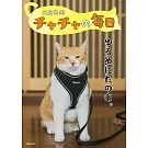 元野良猫チャチャの毎日