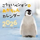 皇帝企鵝寶寶2026年月曆