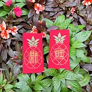 【GFSD】璀璨萬用紅包袋-【大好運系列-好運旺旺來  二入一組】