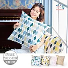 【雨之情】防潑水防沾毛抱枕_方形  藍葉