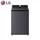 LG樂金20公斤AIDD蒸氣直驅變頻直立式洗衣機WT-TD20HG(夜墨灰)