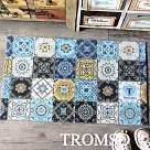 TROMSO北歐圈絲門口刮泥地墊 藍調花磚
