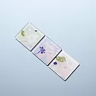 臺灣花卉磁鐵