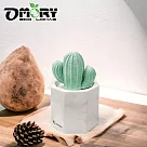 【OMORY】多肉植物盆栽造型擴香石─ 大理石