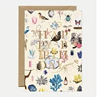 【AWS】GOLD HAPPY BDAY CURIOSITY 生日卡 #1323