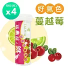 【SALVIA】Salvia 蔓越莓+鐵好氣色發泡錠4瓶組共40錠