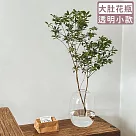 【好拾選物】輕奢簡約大肚玻璃花瓶─透明 小