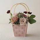 【日本Green House】étoile 萬用禮物裝飾提袋 ‧ 奶茶杏
