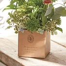 【日本Green House】Favoris 萬用裝飾 收納箱