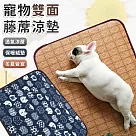 【EZlife】寵物藤席珊瑚絨兩用墊(50x38cm) 藍底白貓
