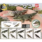【日本正版授權】全套5款 生物大圖鑑 鱷魚 扭蛋/轉蛋 尼羅鱷/恆河鱷 動物模型 776588